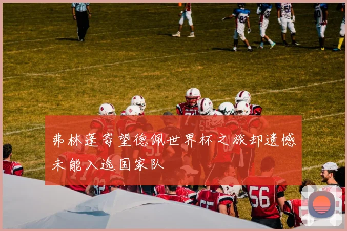 弗林蓬寄望德佩世界杯之旅却遗憾未能入选国家队