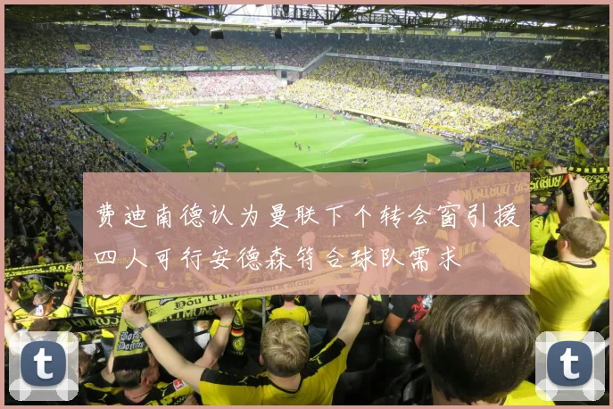 费迪南德认为曼联下个转会窗引援四人可行安德森符合球队需求