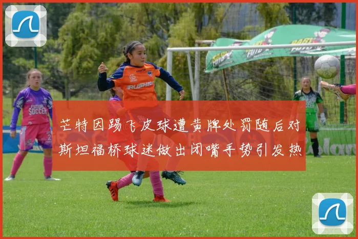 芒特因踢飞皮球遭黄牌处罚随后对斯坦福桥球迷做出闭嘴手势引发热议